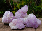 Natural Sunburst Spirit Amethyst Clusters x 12 From Boekenhouthoek, South Africa - Toprock Gemstones and Minerals 