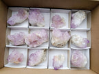 Natural Sunburst Spirit Amethyst Clusters x 12 From Boekenhouthoek, South Africa - Toprock Gemstones and Minerals 