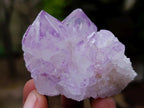 Natural Sunburst Spirit Amethyst Clusters x 12 From Boekenhouthoek, South Africa - Toprock Gemstones and Minerals 