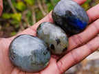 Polished Labradorite Palm Stones x 20 From Madagascar - Toprock Gemstones and Minerals 