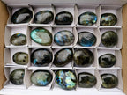 Polished Labradorite Palm Stones x 20 From Madagascar - Toprock Gemstones and Minerals 