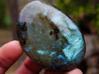 Polished Labradorite Palm Stones x 20 From Madagascar - Toprock Gemstones and Minerals 