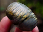 Polished Labradorite Palm Stones x 20 From Madagascar - Toprock Gemstones and Minerals 