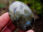 Polished Labradorite Palm Stones x 20 From Madagascar - Toprock Gemstones and Minerals 