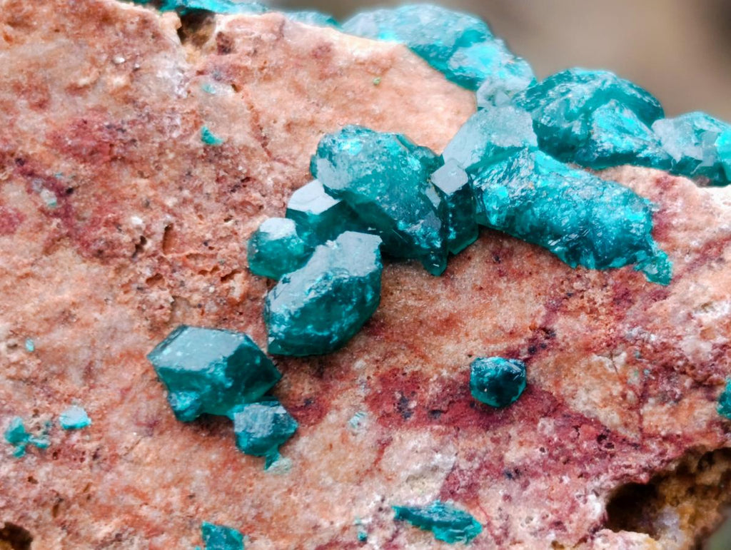Natural Dioptase on Dolomite Specimens x 2 From Mashamba East Mine, Congo - Toprock Gemstones and Minerals 