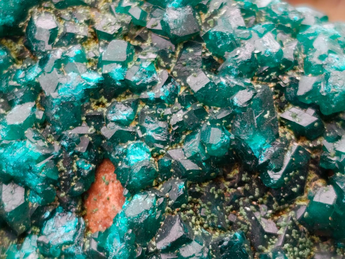 Natural Dioptase on Dolomite Specimens x 2 From Mashamba East Mine, Congo - Toprock Gemstones and Minerals 