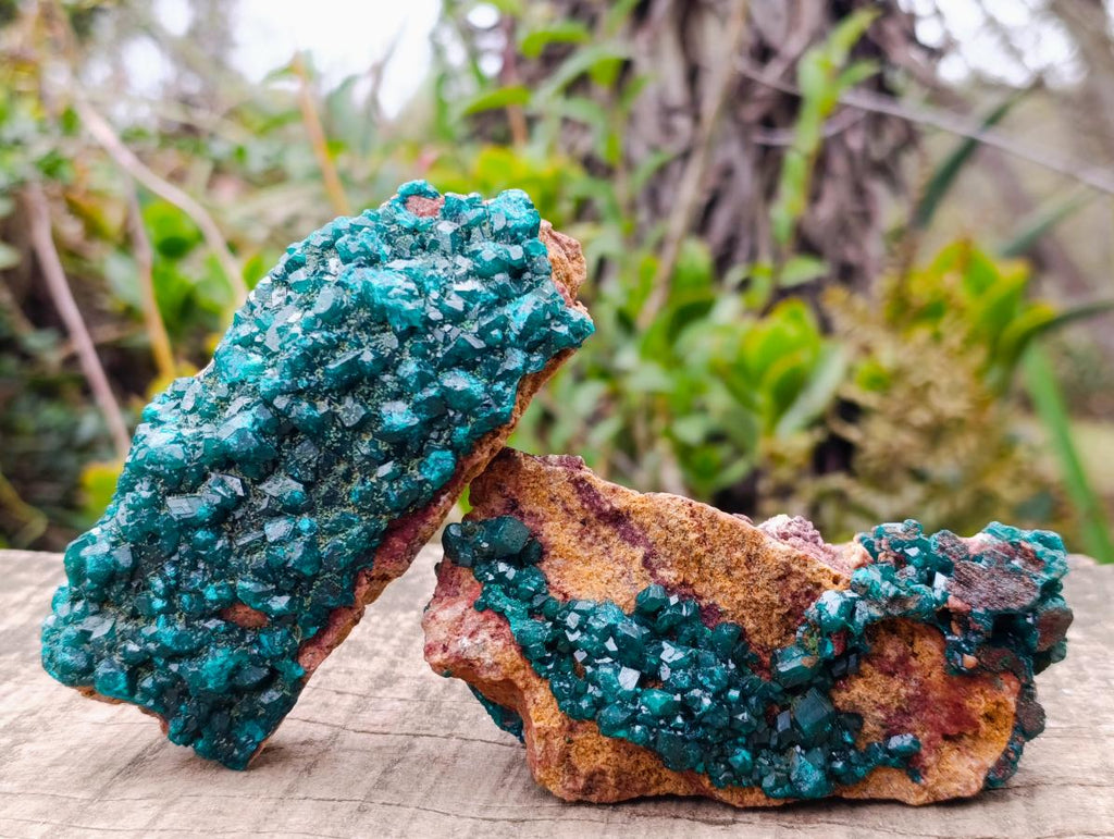 Natural Dioptase on Dolomite Specimens x 2 From Mashamba East Mine, Congo - Toprock Gemstones and Minerals 