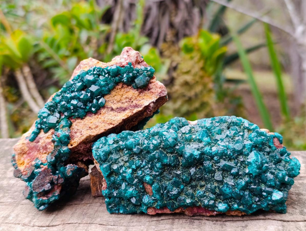 Natural Dioptase on Dolomite Specimens x 2 From Mashamba East Mine, Congo - Toprock Gemstones and Minerals 