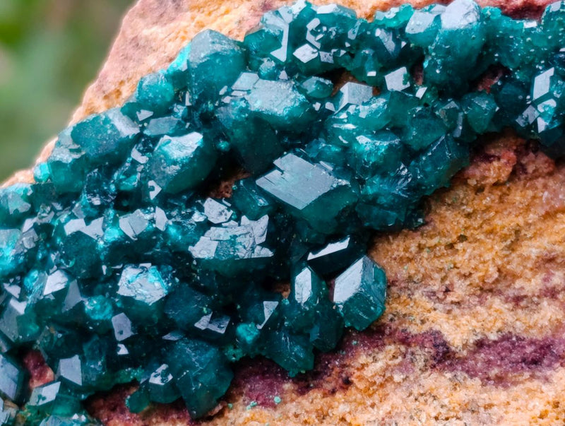 Natural Dioptase on Dolomite Specimens x 2 From Mashamba East Mine, Congo - Toprock Gemstones and Minerals 