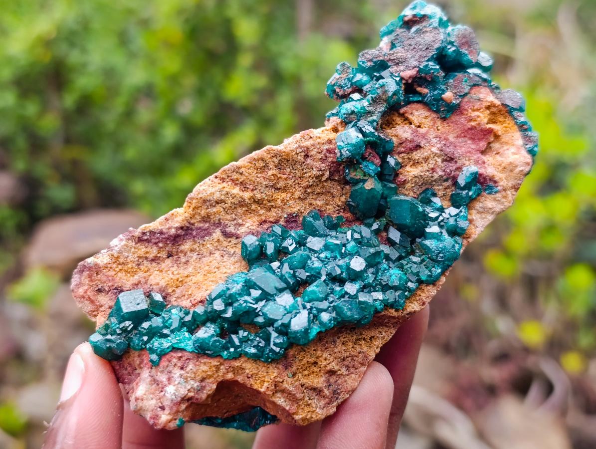 Natural Dioptase on Dolomite Specimens x 2 From Mashamba East Mine, Congo - Toprock Gemstones and Minerals 