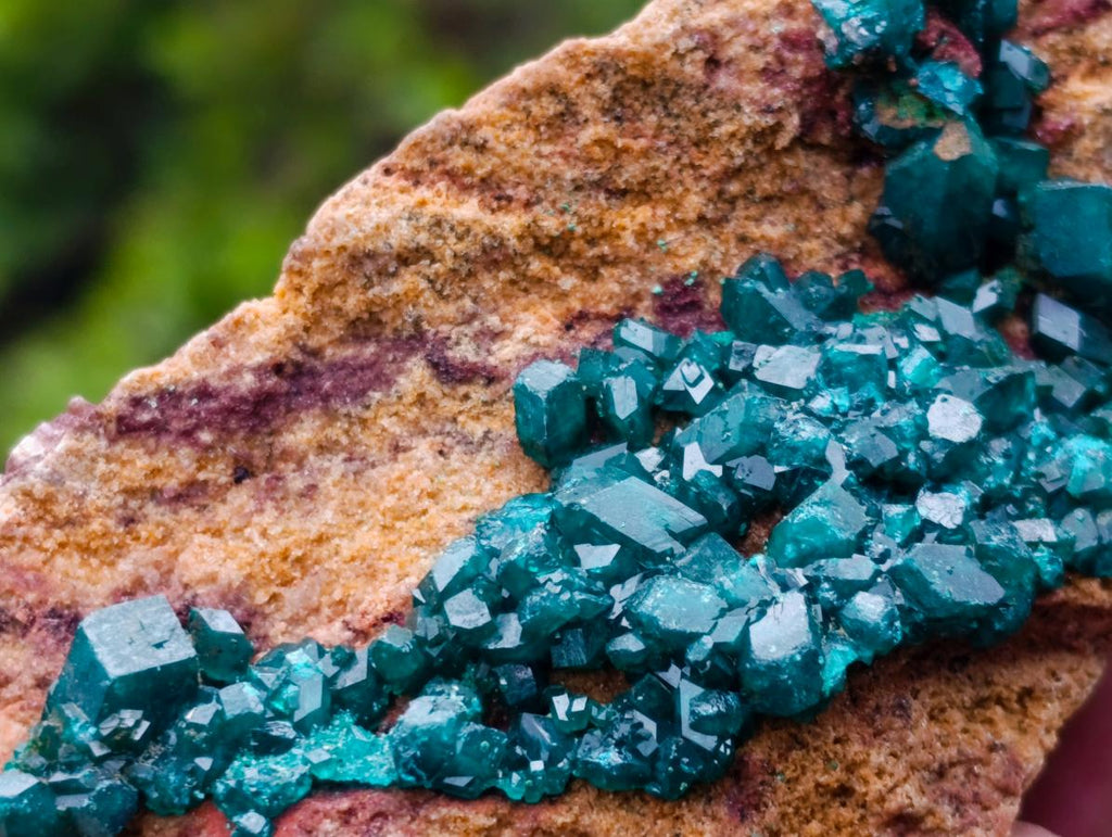 Natural Dioptase on Dolomite Specimens x 2 From Mashamba East Mine, Congo - Toprock Gemstones and Minerals 
