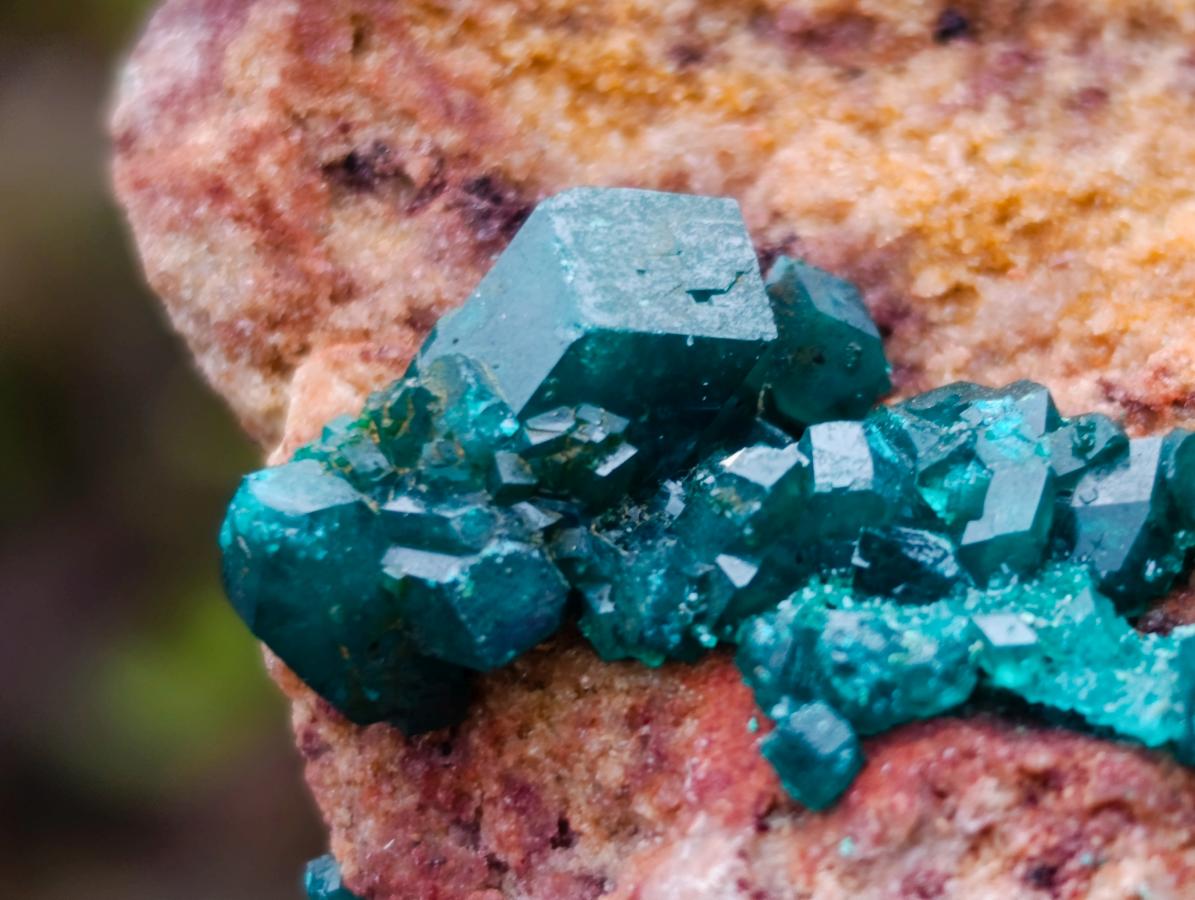 Natural Dioptase on Dolomite Specimens x 2 From Mashamba East Mine, Congo - Toprock Gemstones and Minerals 