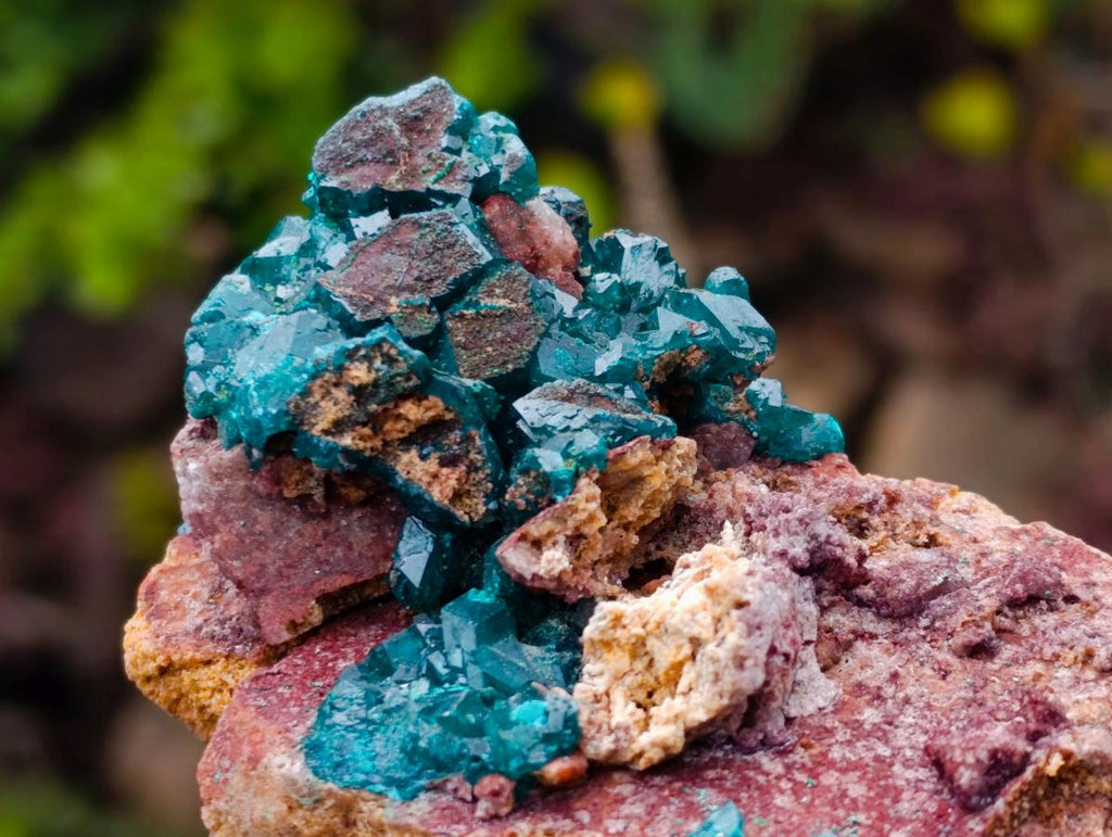 Natural Dioptase on Dolomite Specimens x 2 From Mashamba East Mine, Congo - Toprock Gemstones and Minerals 