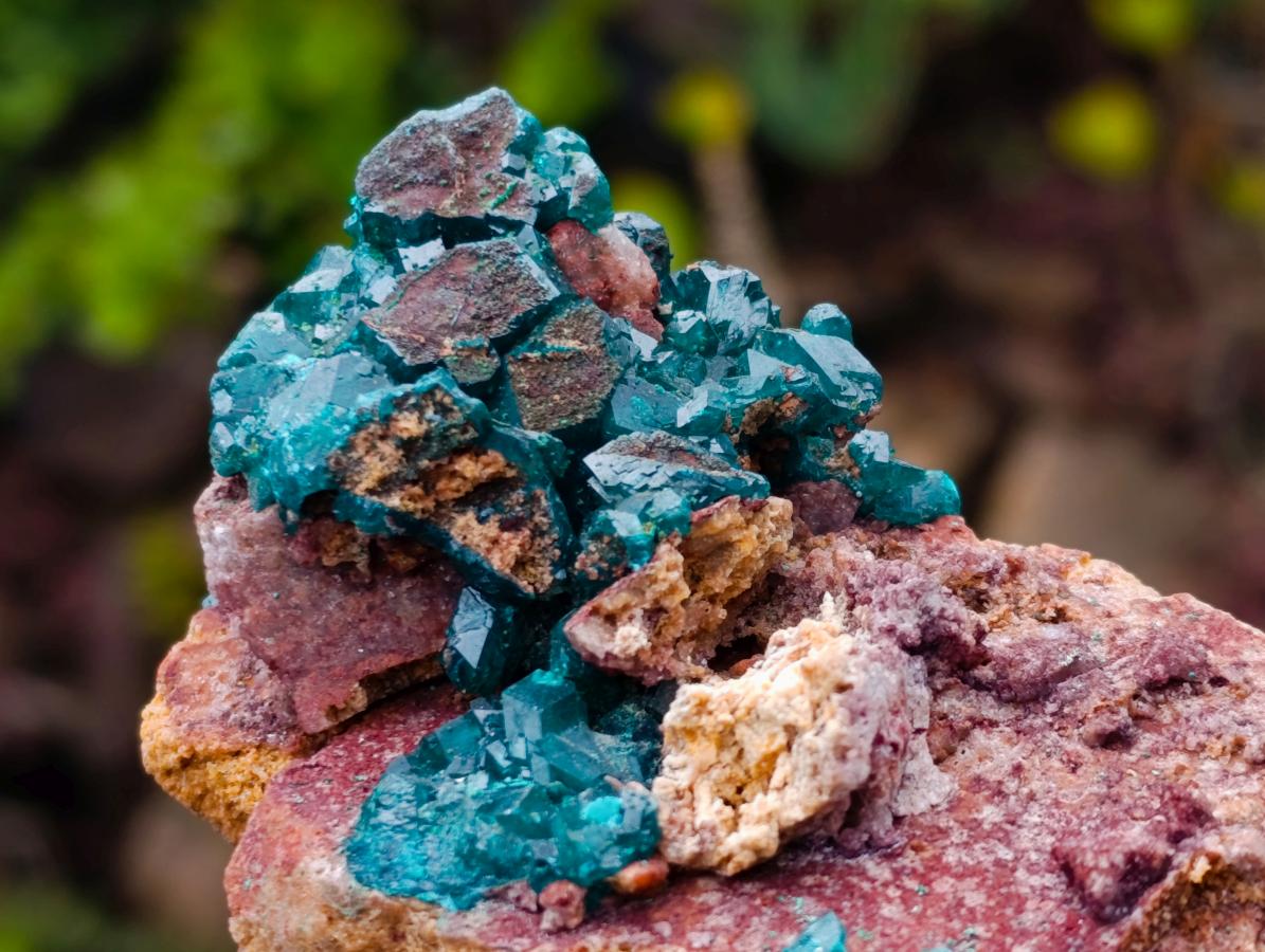 Natural Dioptase on Dolomite Specimens x 2 From Mashamba East Mine, Congo - Toprock Gemstones and Minerals 