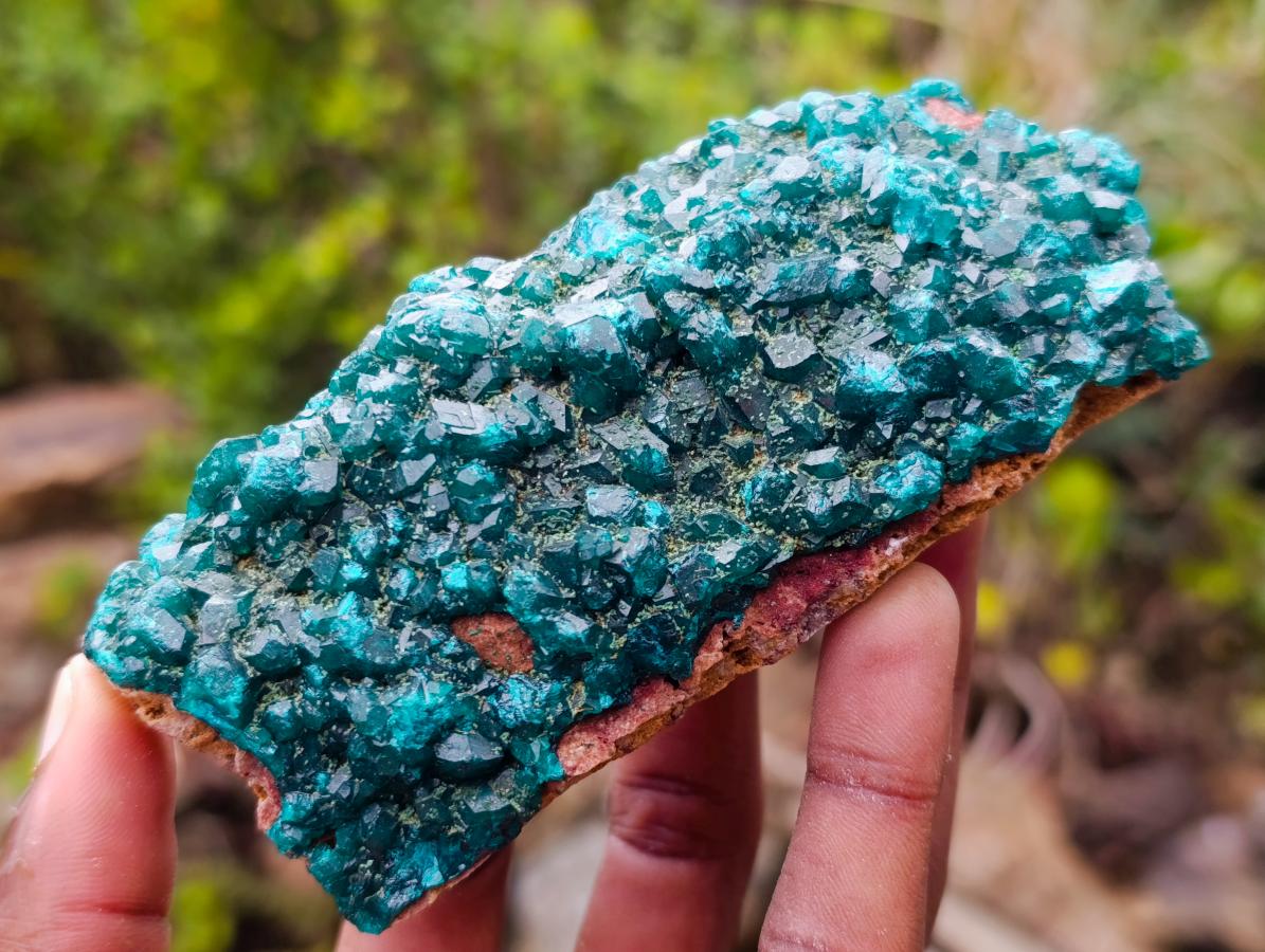 Natural Dioptase on Dolomite Specimens x 2 From Mashamba East Mine, Congo - Toprock Gemstones and Minerals 