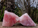 Natural Cobbed Rose Quartz Specimens x 12 From Northern Cape, South Africa - Toprock Gemstones and Minerals 