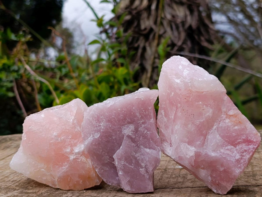Natural Cobbed Rose Quartz Specimens x 12 From Northern Cape, South Africa - Toprock Gemstones and Minerals 
