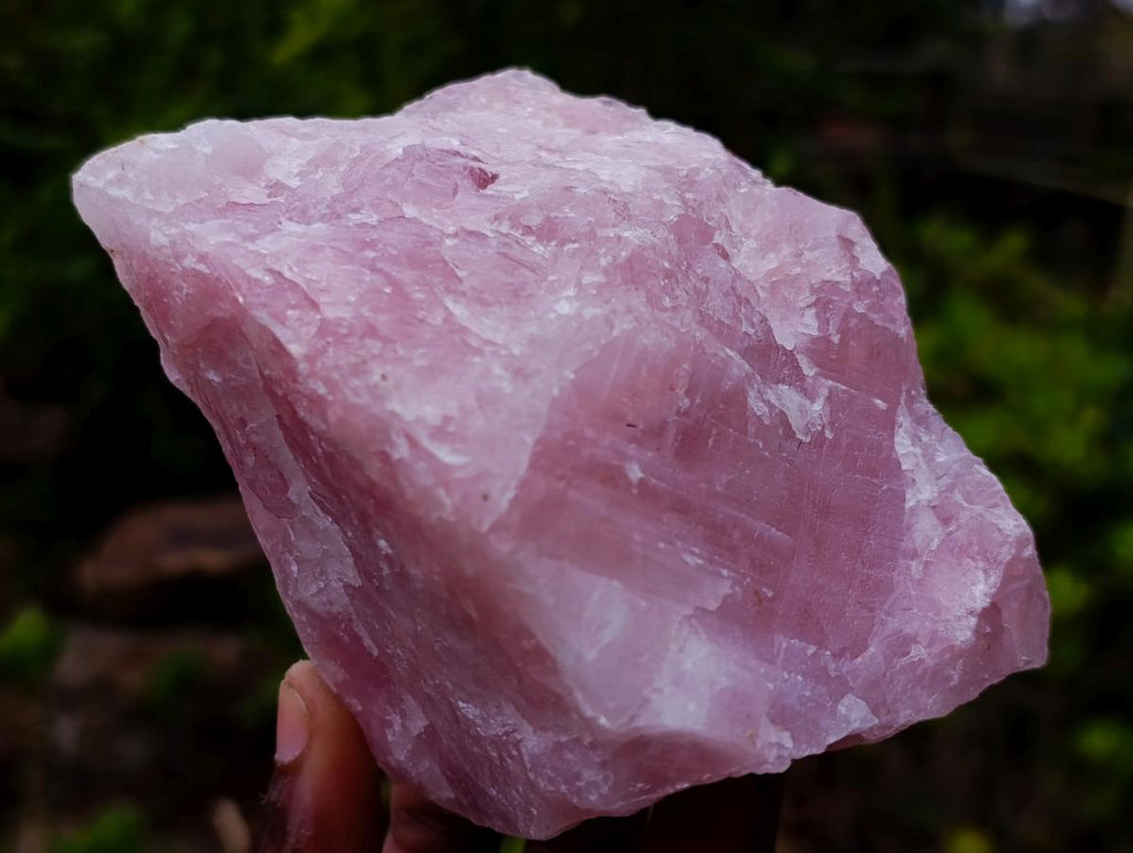 Natural Cobbed Rose Quartz Specimens x 12 From Northern Cape, South Africa - Toprock Gemstones and Minerals 