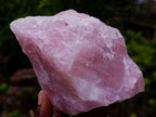 Natural Cobbed Rose Quartz Specimens x 12 From Northern Cape, South Africa - Toprock Gemstones and Minerals 