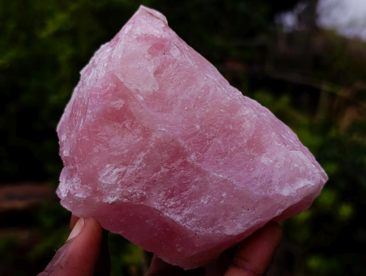 Natural Cobbed Rose Quartz Specimens x 12 From Northern Cape, South Africa - Toprock Gemstones and Minerals 