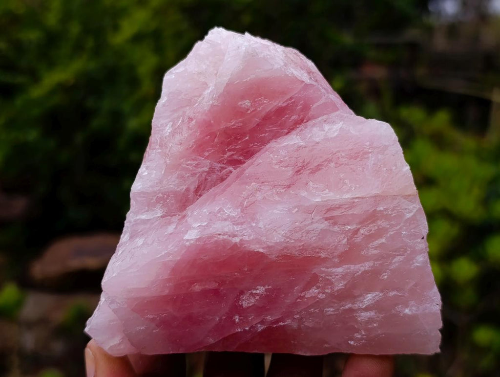 Natural Cobbed Rose Quartz Specimens x 12 From Northern Cape, South Africa - Toprock Gemstones and Minerals 