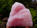 Natural Cobbed Rose Quartz Specimens x 12 From Northern Cape, South Africa - Toprock Gemstones and Minerals 