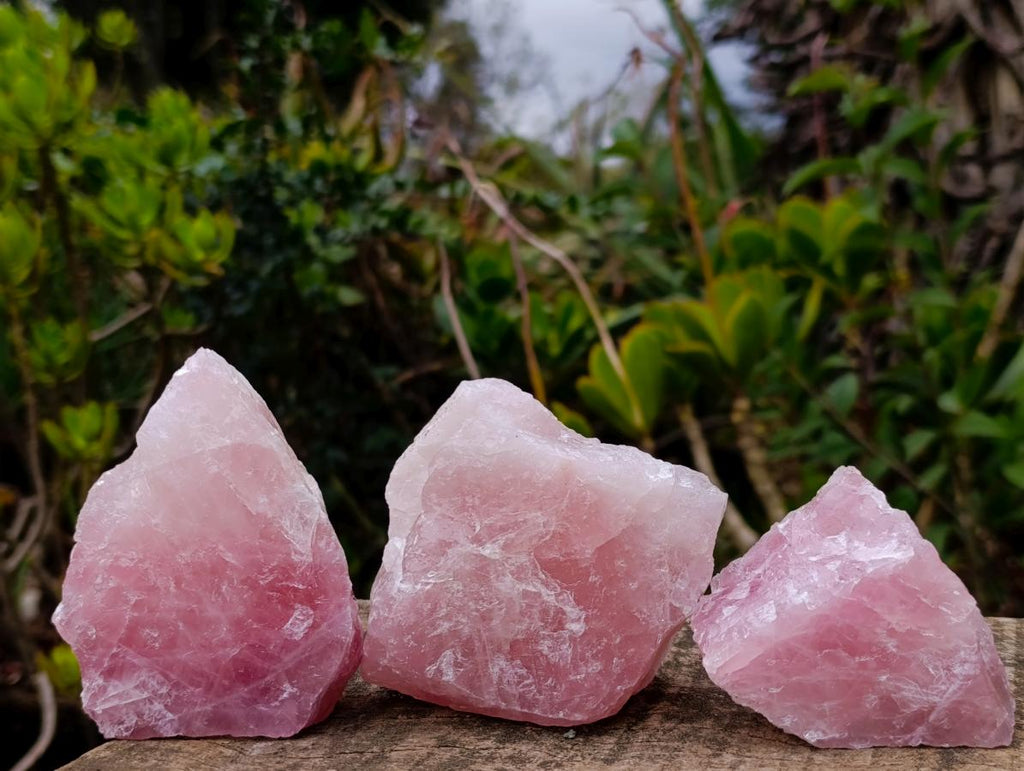 Natural Cobbed Rose Quartz Specimens x 12 From Northern Cape, South Africa - Toprock Gemstones and Minerals 