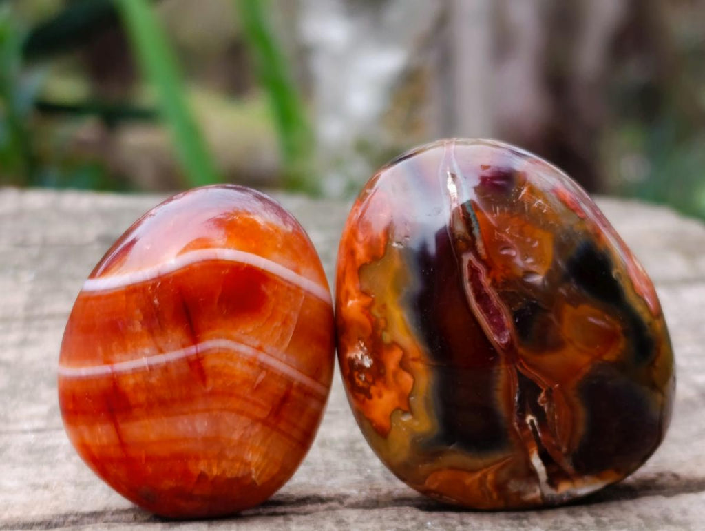 Polished Carnelian Agate Gemstone Galets x 24 From Madagascar - Toprock Gemstones and Minerals 
