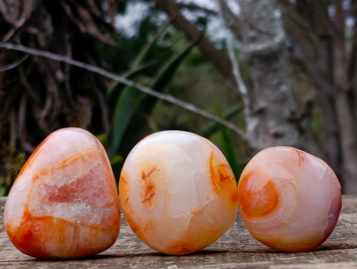 Polished Carnelian Agate Gemstone Galets x 24 From Madagascar - Toprock Gemstones and Minerals 