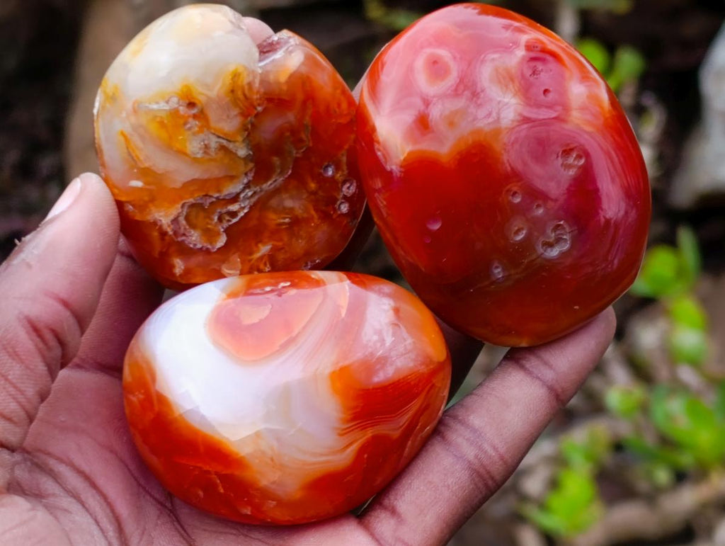 Polished Carnelian Agate Gemstone Galets x 24 From Madagascar - Toprock Gemstones and Minerals 