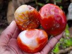 Polished Carnelian Agate Gemstone Galets x 24 From Madagascar - Toprock Gemstones and Minerals 