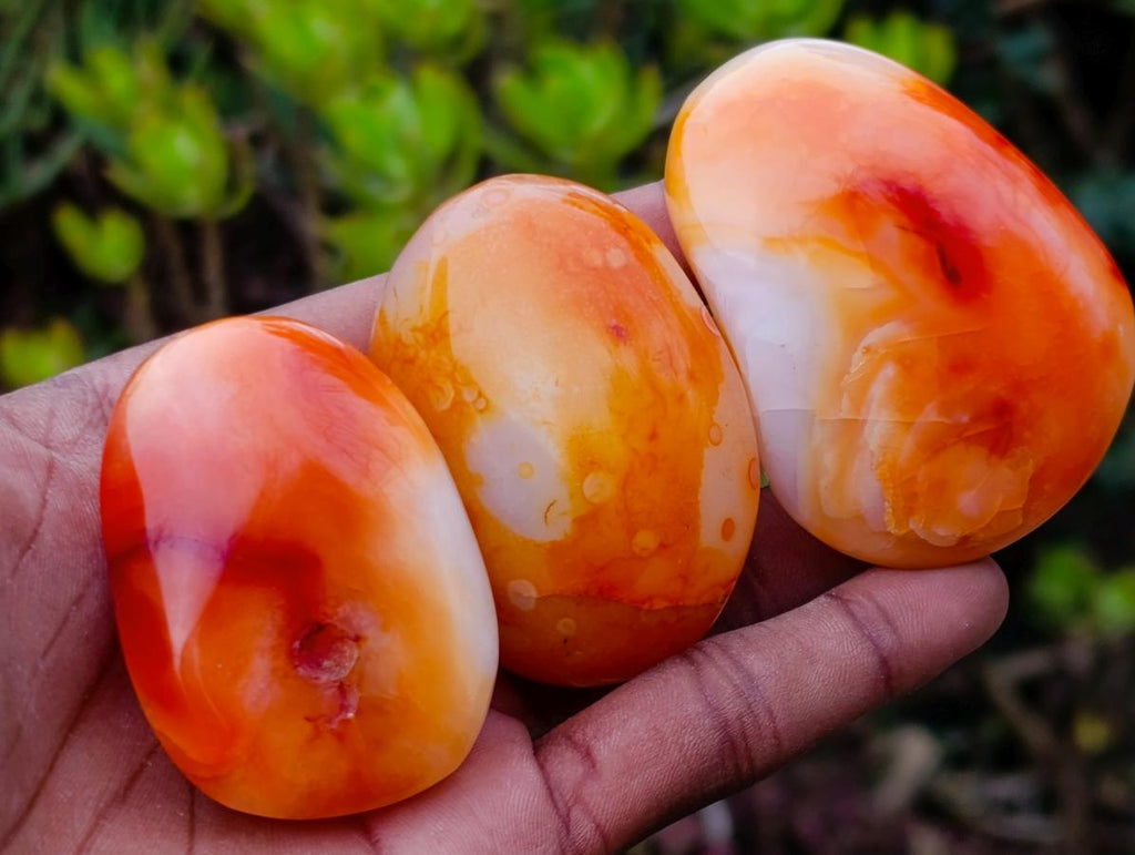 Polished Carnelian Agate Gemstone Galets x 24 From Madagascar - Toprock Gemstones and Minerals 