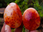 Polished Carnelian Agate Gemstone Galets x 24 From Madagascar - Toprock Gemstones and Minerals 