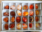 Polished Carnelian Agate Gemstone Galets x 24 From Madagascar - Toprock Gemstones and Minerals 