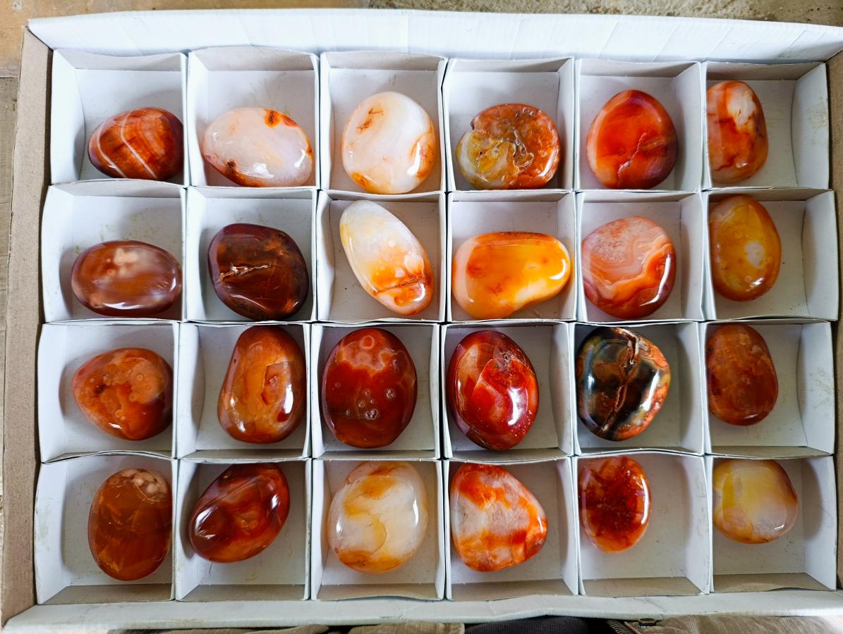 Polished Carnelian Agate Gemstone Galets x 24 From Madagascar - Toprock Gemstones and Minerals 