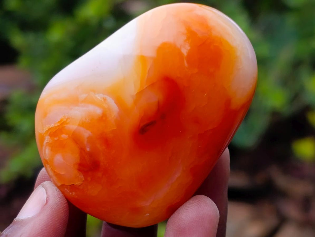 Polished Carnelian Agate Gemstone Galets x 24 From Madagascar - Toprock Gemstones and Minerals 