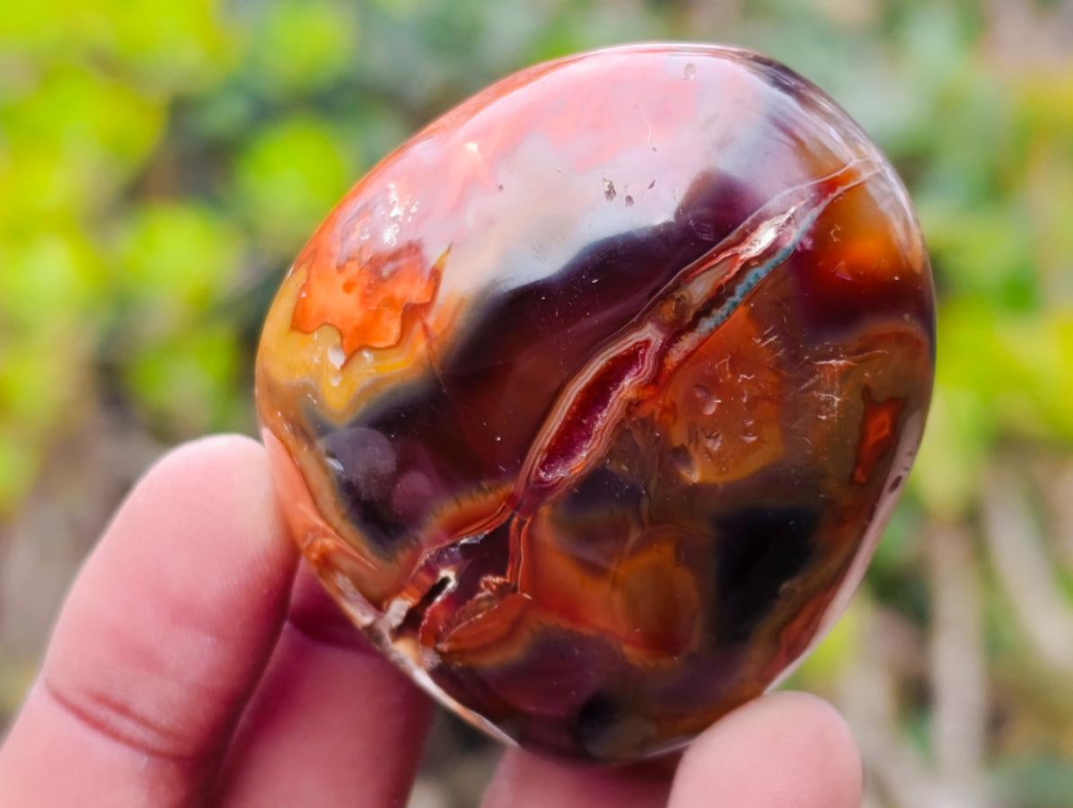 Polished Carnelian Agate Gemstone Galets x 24 From Madagascar - Toprock Gemstones and Minerals 