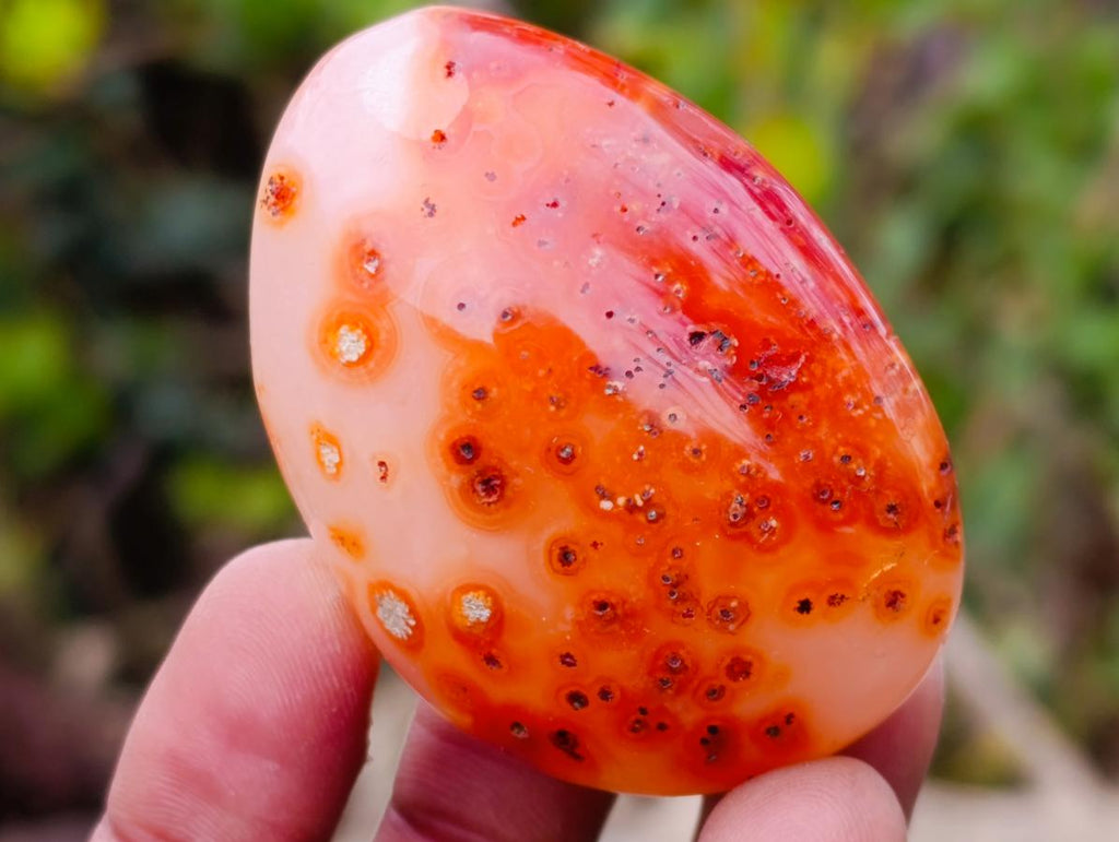 Polished Carnelian Agate Gemstone Galets x 24 From Madagascar - Toprock Gemstones and Minerals 