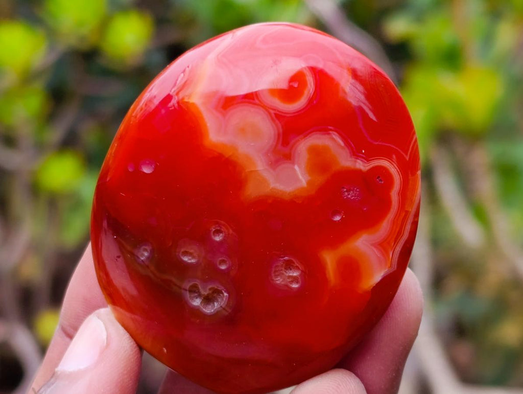 Polished Carnelian Agate Gemstone Galets x 24 From Madagascar - Toprock Gemstones and Minerals 