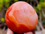 Polished Carnelian Agate Gemstone Galets x 24 From Madagascar - Toprock Gemstones and Minerals 
