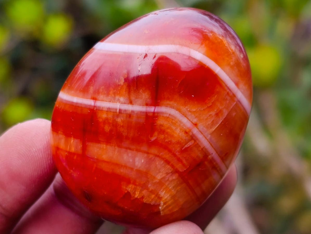 Polished Carnelian Agate Gemstone Galets x 24 From Madagascar - Toprock Gemstones and Minerals 