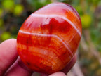 Polished Carnelian Agate Gemstone Galets x 24 From Madagascar - Toprock Gemstones and Minerals 