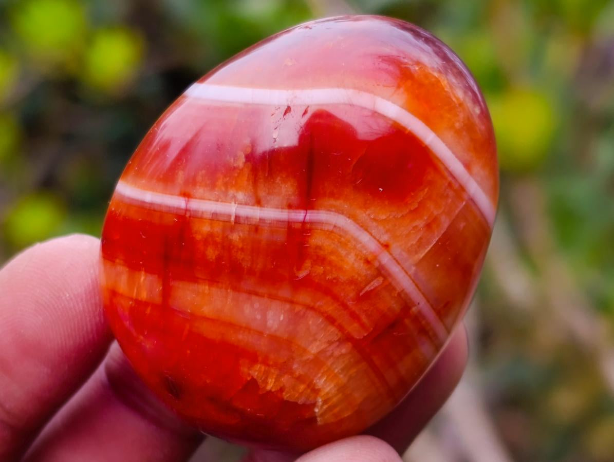 Polished Carnelian Agate Gemstone Galets x 24 From Madagascar - Toprock Gemstones and Minerals 