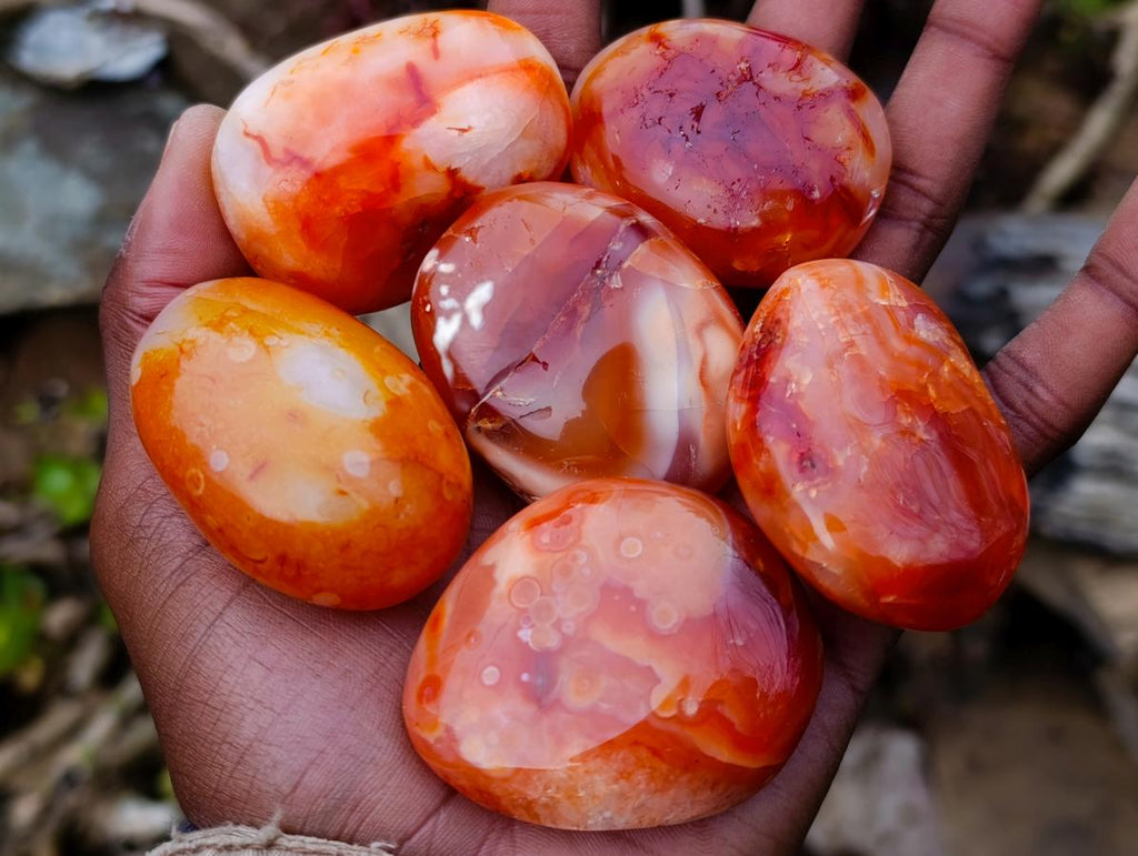 Polished Carnelian Agate Gemstone Galets x 24 From Madagascar - Toprock Gemstones and Minerals 