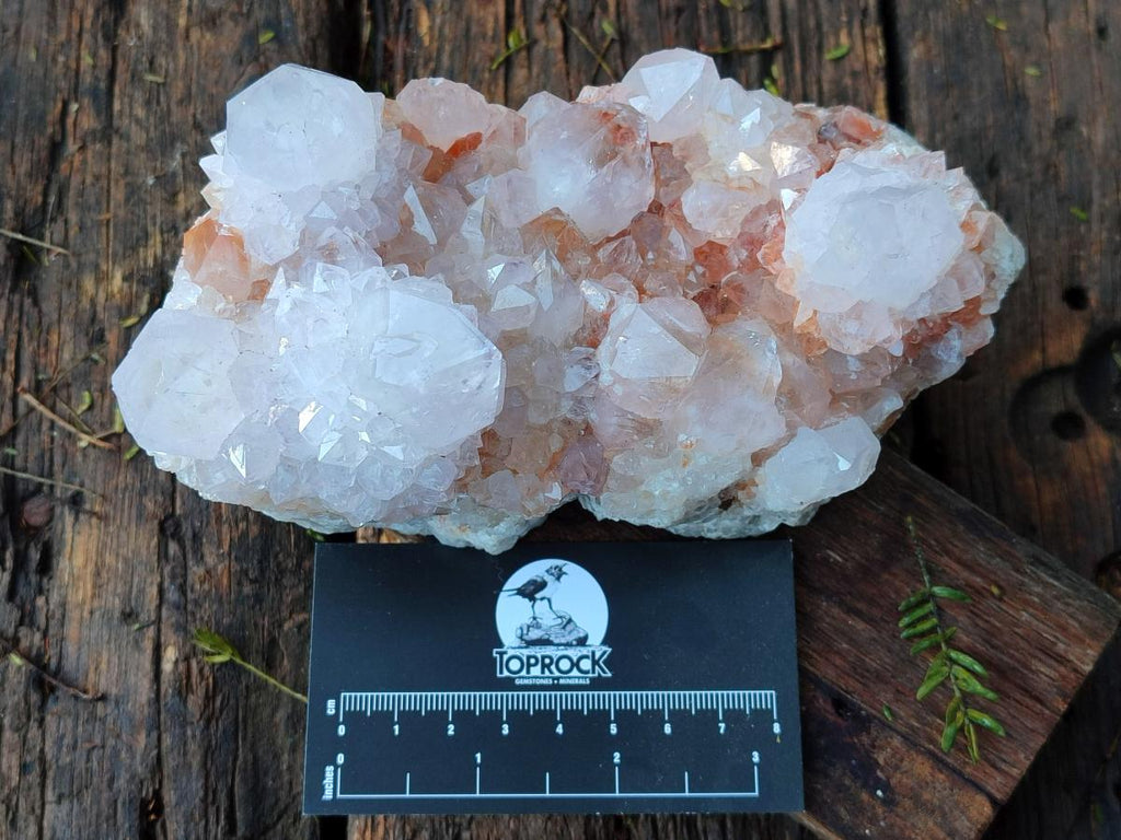 Natural Large Pale Spirit Quartz Cluster x 1 From Boekenhouthoek, South Africa - Toprock Gemstones and Minerals 