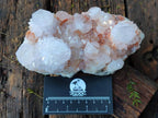 Natural Large Pale Spirit Quartz Cluster x 1 From Boekenhouthoek, South Africa - Toprock Gemstones and Minerals 