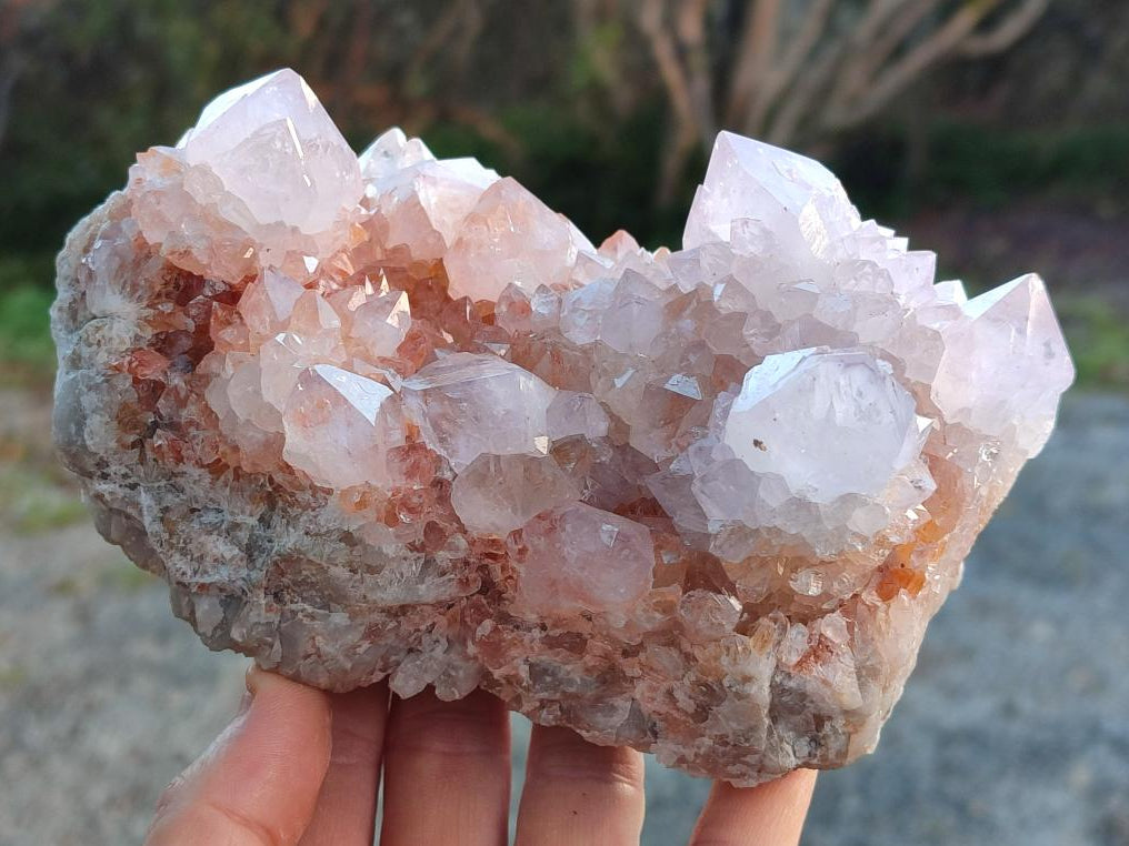 Natural Large Pale Spirit Quartz Cluster x 1 From Boekenhouthoek, South Africa - Toprock Gemstones and Minerals 