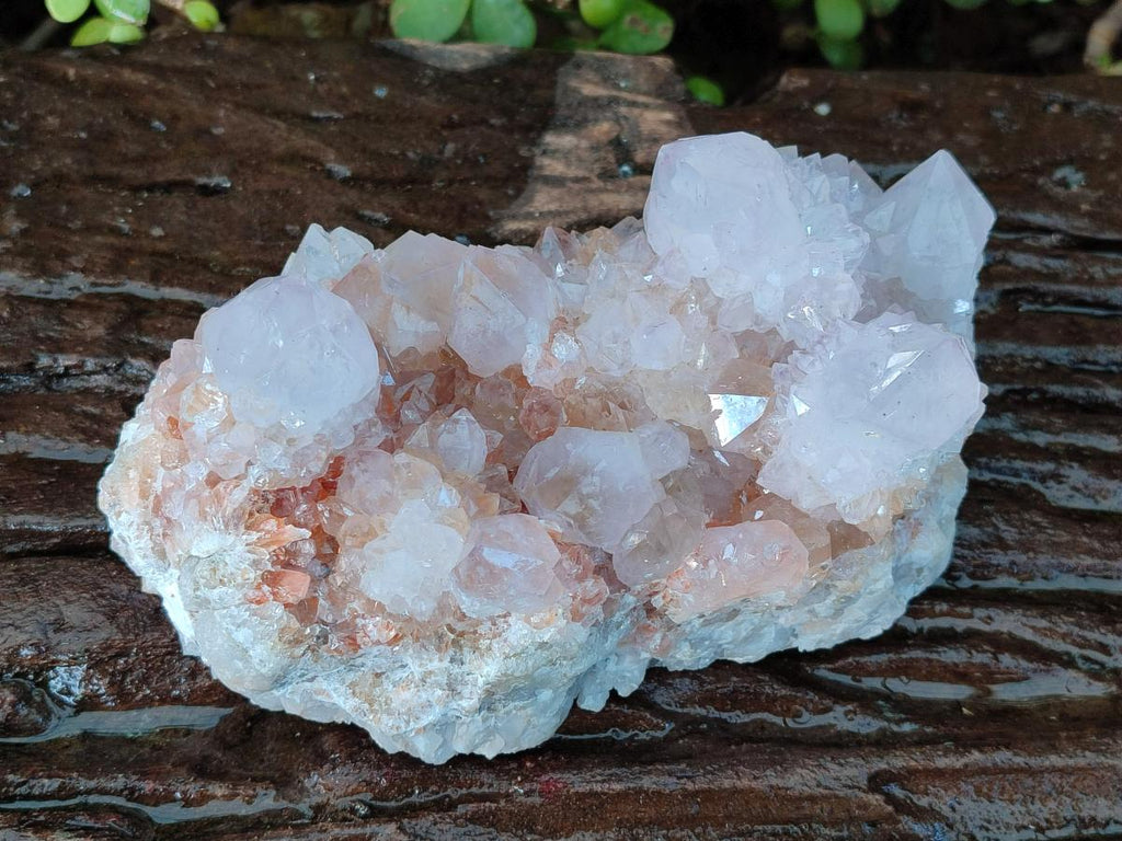 Natural Large Pale Spirit Quartz Cluster x 1 From Boekenhouthoek, South Africa - Toprock Gemstones and Minerals 