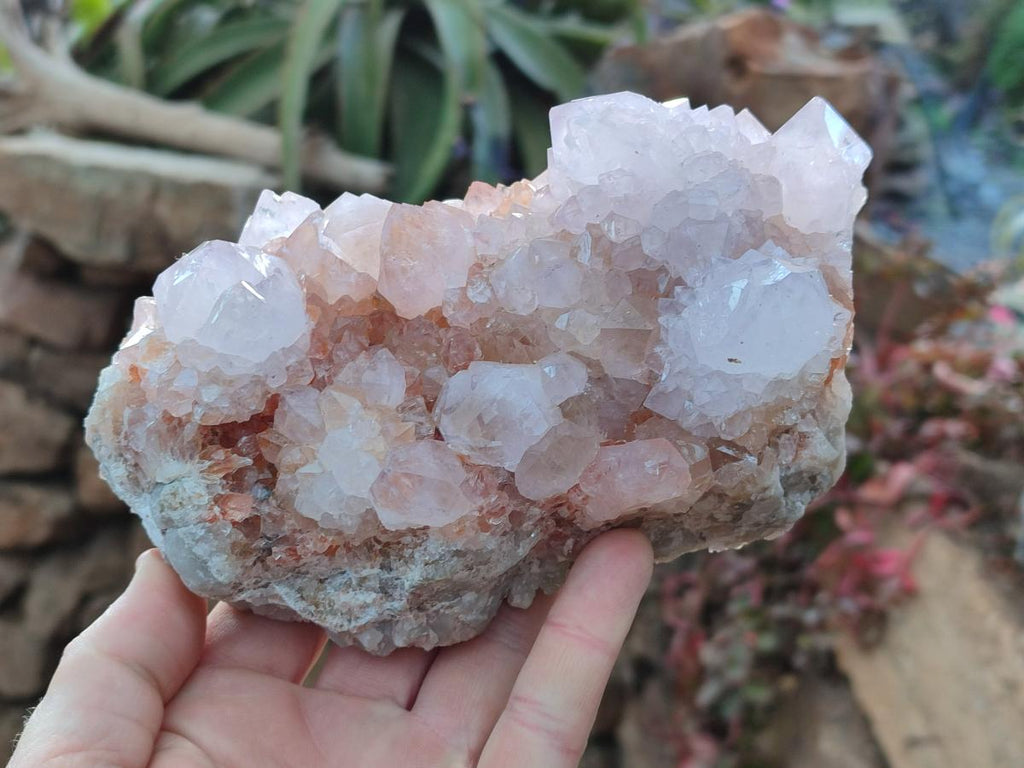 Natural Large Pale Spirit Quartz Cluster x 1 From Boekenhouthoek, South Africa - Toprock Gemstones and Minerals 