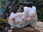 Natural Large Pale Spirit Quartz Cluster x 1 From Boekenhouthoek, South Africa - Toprock Gemstones and Minerals 